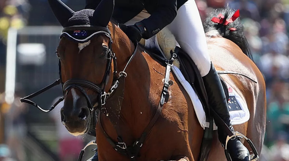 Tops-Alexander leads the way at show jumping first qualifier
