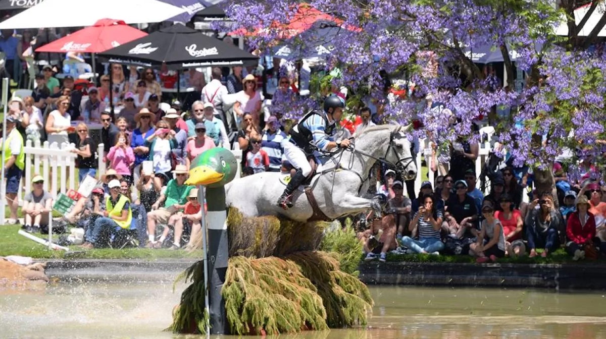 Olympian Rose dominates Adelaide CCI4* Cross Country