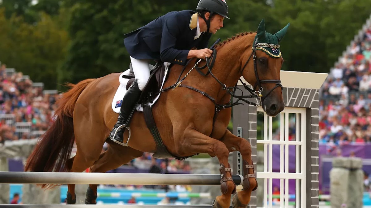 Ex-racehorse saddled up for World Equestrian Games 