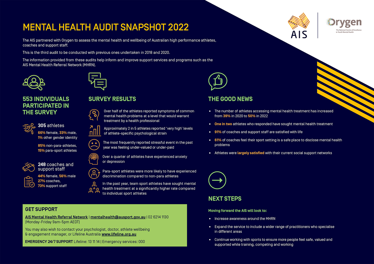 Mental health audit snapshot