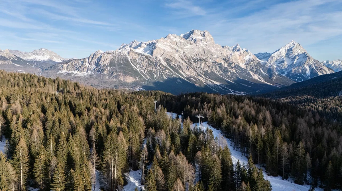 Cortina beauty shot